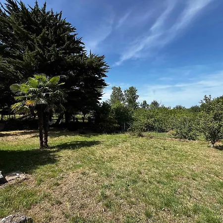 Maison Antioche Charming House With Large Garden Casa vacanze Le Château-dʼOléron